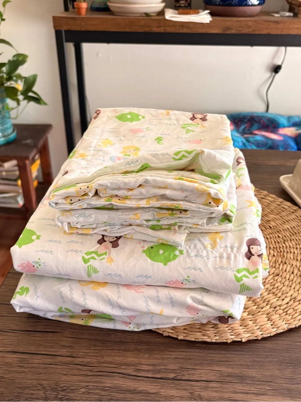 Ivy Hill Home Full sheet set 4 pieces